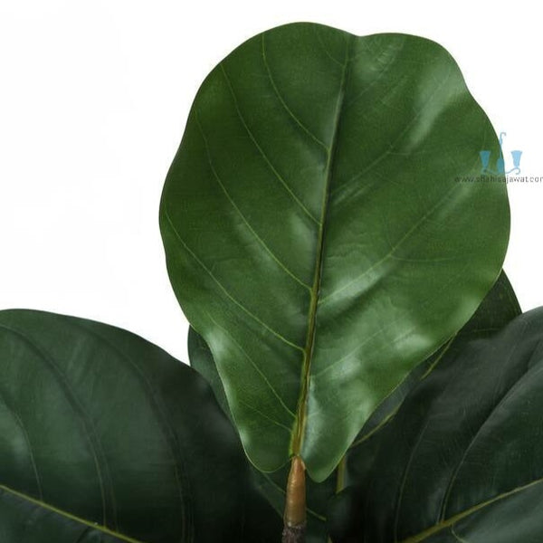 Attractive Real Like, Real Touch Nearly Natural Decorative Artificial (Faux) Green Fiddle Leaf Fig Tree Of Size 4.8ft, Made Of Plastic With Zero Maintenance, Available Exclusively At Shahisajawat India. Best Trendy Home Decor, Restaurant Decor, Office Decor Ideas Of 2024.