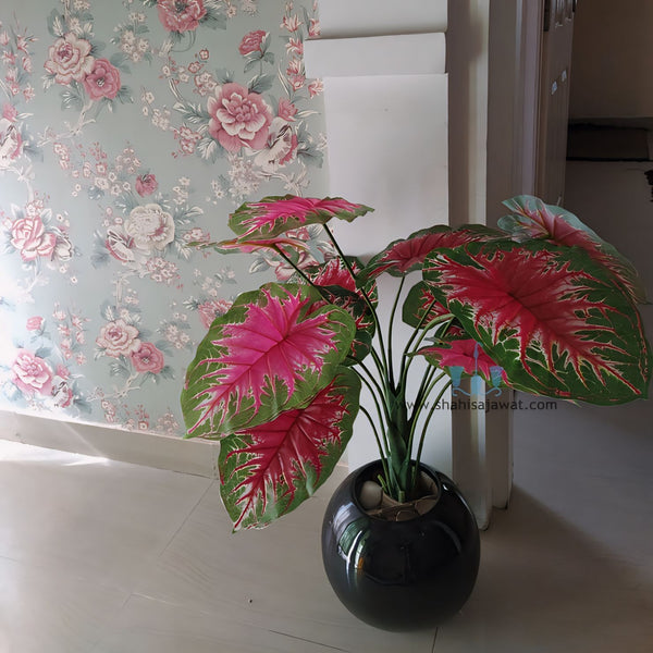 Attractive Real Like, Real Touch Nearly Natural Decorative Artificial (Faux) Red And Green Caladium Plant Of Size 85cm With 13 Leaves, Made Of Plastic With Zero Maintenance, Available Exclusively At Shahisajawat India. Best Trendy Home Decor, Restaurant Decor, Office Decor Ide