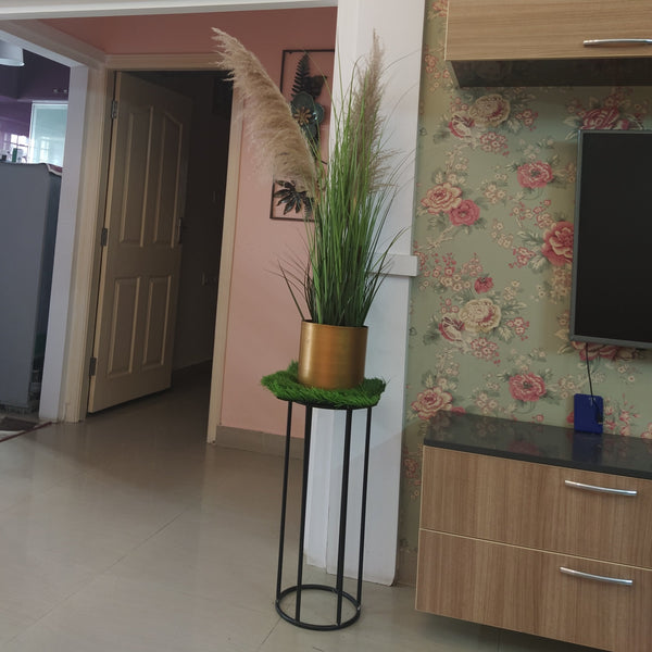Attractive Real Like, Real Touch Nearly Natural Decorative Artificial (Faux) Pampa Grass 3 Heads Plant Of Size 4ft, Made Of Plastic With Zero Maintenance, Available Exclusively At Shahisajawat India. Best Trendy Home Decor, Restaurant Decor, Office Decor Ideas Of 2024.
