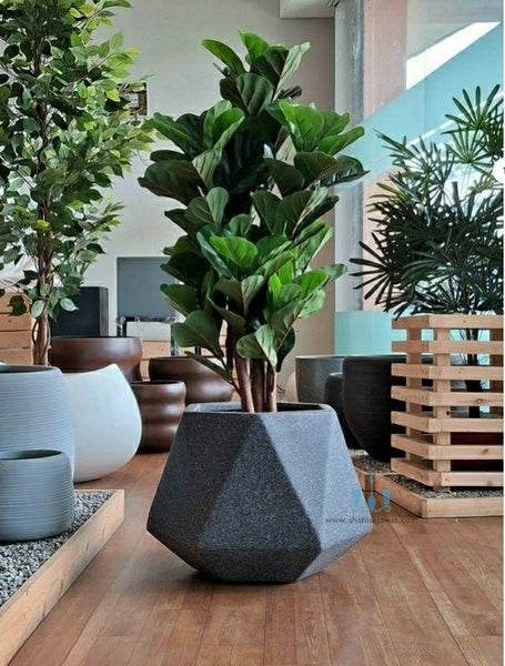 Stone Finished Vase Shaped Geometric FRP (Fiberglass) Indoor And Outdoor Planters Are Lightweight, Durable, Weather Resistant, UV Resistant Made For Residential And Commercial Spaces, Available Exclusively On Shahi Sajawat India, the world of home decor products. Best trendy home decor, office decor, restaurant decor living room, kitchen and bathroom decor ideas of 2024.