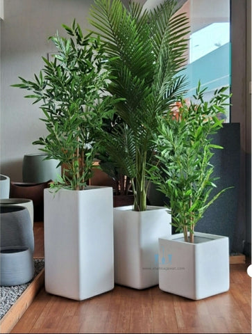 White Square Shaped  FRP (Fiberglass) Indoor And Outdoor Planters Are Lightweight, Durable, Weather Resistant, UV Resistant Made For Residential And Commercial Spaces, Available Exclusively On Shahi Sajawat India, the world of home decor products. Best trendy home decor, office decor, restaurant decor , hotel decor, airports, mall decor ideas of 2024.