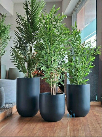 Black Cylinder Shaped FRP (Fiberglass) Indoor And Outdoor Planters Are Lightweight, Durable, Weather Resistant, UV Resistant Made For Residential And Commercial Spaces, Available Exclusively On Shahi Sajawat India, the world of home decor products. Best trendy home decor, office decor, restaurant decor, hotel decor, airports, mall decor ideas of 2024.