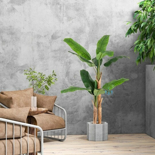 Decorative Real Like, Real Touch Nearly Natural Artificial (Faux) Banana Tree Of Size 5FT With Large 15 Leaves, Lifelike Stalks And Natural Banana Barks Made Of Plastic With Zero Maintenance Available Exclusively At Shahisajawat India. Best Trendy Home Decor, Restaurant Decor, Office Decor Ideas Of 2024.