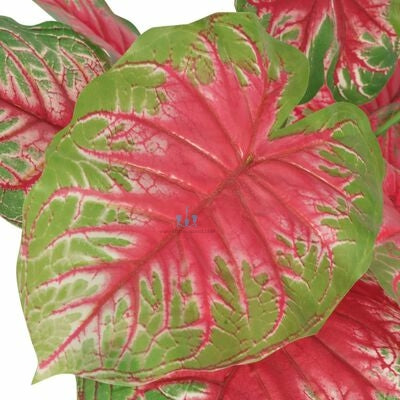 Attractive Real Like, Real Touch Nearly Natural Decorative Artificial (Faux) Red And Green Caladium Plant Of Size 85cm With 13 Leaves, Made Of Plastic With Zero Maintenance, Available Exclusively At Shahisajawat India. Best Trendy Home Decor, Restaurant Decor, Office Decor Ideas Of 2024.