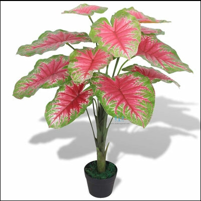 Attractive Real Like, Real Touch Nearly Natural Decorative Artificial (Faux) Red And Green Caladium Plant Of Size 85cm With 13 Leaves, Made Of Plastic With Zero Maintenance, Available Exclusively At Shahisajawat India. Best Trendy Home Decor, Restaurant Decor, Office Decor Ideas Of 2024.