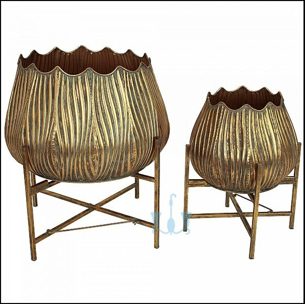 Gold Tulip 2 Piece Handcrafted Iron (Metal) Floor 2 Piece Indoor Planters, Available exclusively on Shahi Sajawat India, the world of home decor products. Best trendy home decor, office decor, restaurant decor living room, kitchen and bathroom decor ideas of 2022.