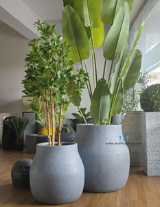 Quirky Nordic FRP (Fiberglass) Indoor And Outdoor Planters Are Lightweight, Durable, Weather Resistant, UV Resistant Made For Residential And Commercial Spaces, Available Exclusively On Shahi Sajawat India, the world of home decor products. Best trendy home decor, office decor, restaurant decor, malls, airports, hotels and resort decor ideas of 2025.