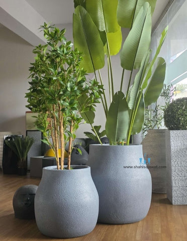 Quirky Nordic FRP (Fiberglass) Indoor And Outdoor Planters Are Lightweight, Durable, Weather Resistant, UV Resistant Made For Residential And Commercial Spaces, Available Exclusively On Shahi Sajawat India, the world of home decor products. Best trendy home decor, office decor, restaurant decor, malls, airports, hotels and resort decor ideas of 2025.