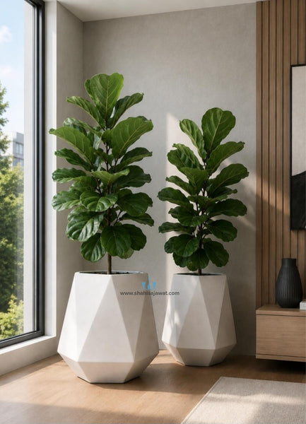 White Geometric Vase Shaped FRP (Fiberglass) Indoor And Outdoor Planters Are Lightweight, Durable, Weather Resistant, UV Resistant Made For Residential And Commercial Spaces, Available Exclusively On Shahi Sajawat India, the world of home decor products. Best trendy home decor, office decor, restaurant decor living room, kitchen and bathroom decor ideas of 2026.