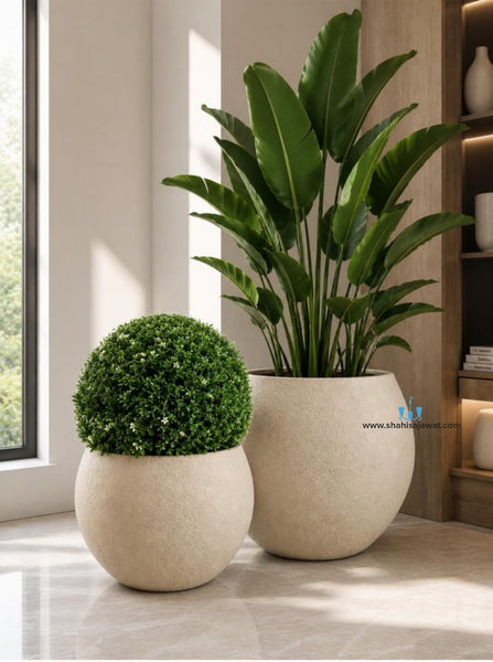 Black Flattened Globe Shaped FRP (Fiberglass) Indoor And Outdoor Planters Are Lightweight, Durable, Weather Resistant, UV Resistant Made For Residential And Commercial Spaces, Available Exclusively On Shahi Sajawat India, the world of home decor products. Best trendy home decor, office decor, restaurant decor, hotel decor, airports, mall decor ideas of 2026.