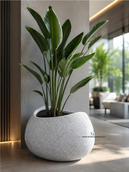 White Tapered Bowl Smooth Finished FRP (Fiberglass) Indoor And Outdoor Planters Are Lightweight, Durable, Weather Resistant, UV Resistant Made For Residential And Commercial Spaces, Available Exclusively On Shahi Sajawat India, the world of home decor products. Best trendy home decor, office decor, restaurant decor living room, kitchen and bathroom decor ideas of 2026.