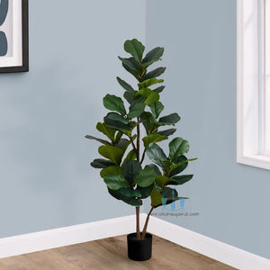 Attractive Real Like, Real Touch Nearly Natural Decorative Artificial (Faux) Green Fiddle Leaf Fig Tree Of Size 4.8ft, Made Of Plastic With Zero Maintenance, Available Exclusively At Shahisajawat India. Best Trendy Home Decor, Restaurant Decor, Office Decor Ideas Of 2024.