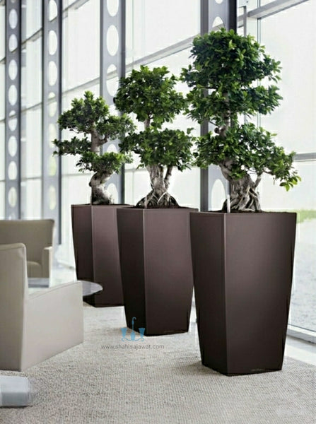 Black Tapering Cube FRP (Fiberglass) Indoor And Outdoor Planters Are Lightweight, Durable, Weather Resistant, UV Resistant Made For Residential And Commercial Spaces, Available Exclusively On Shahi Sajawat India, the world of home decor products. Best trendy home decor, office decor, restaurant decor, hotel decor, airports, mall decor ideas of 2024.