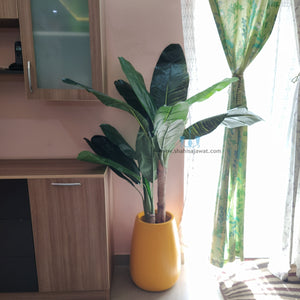 Decorative Real Like, Real Touch Nearly Natural Artificial (Faux) Banana Tree Of Size 5FT With Large 15 Leaves, Lifelike Stalks And Natural Banana Barks Made Of Plastic With Zero Maintenance Available Exclusively At Shahisajawat India. Best Trendy Home Decor, Restaurant Decor, Office Decor Ideas Of 2024.