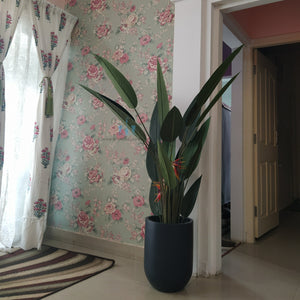 Decorative Real Like, Real Touch Nearly Natural Artificial (Faux) Bird Of Paradise Plant Of Size 5.3FT Made Of Plastic With Zero Maintenance Available Exclusively At Shahisajawat India. Best Trendy Home Decor, Restaurant Decor, Office Decor Ideas Of 2024.