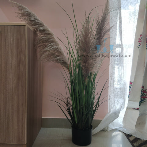 Attractive Real Like, Real Touch Nearly Natural Decorative Artificial (Faux) Pampa Grass 3 Heads Plant Of Size 4ft, Made Of Plastic With Zero Maintenance, Available Exclusively At Shahisajawat India. Best Trendy Home Decor, Restaurant Decor, Office Decor Ideas Of 2024.