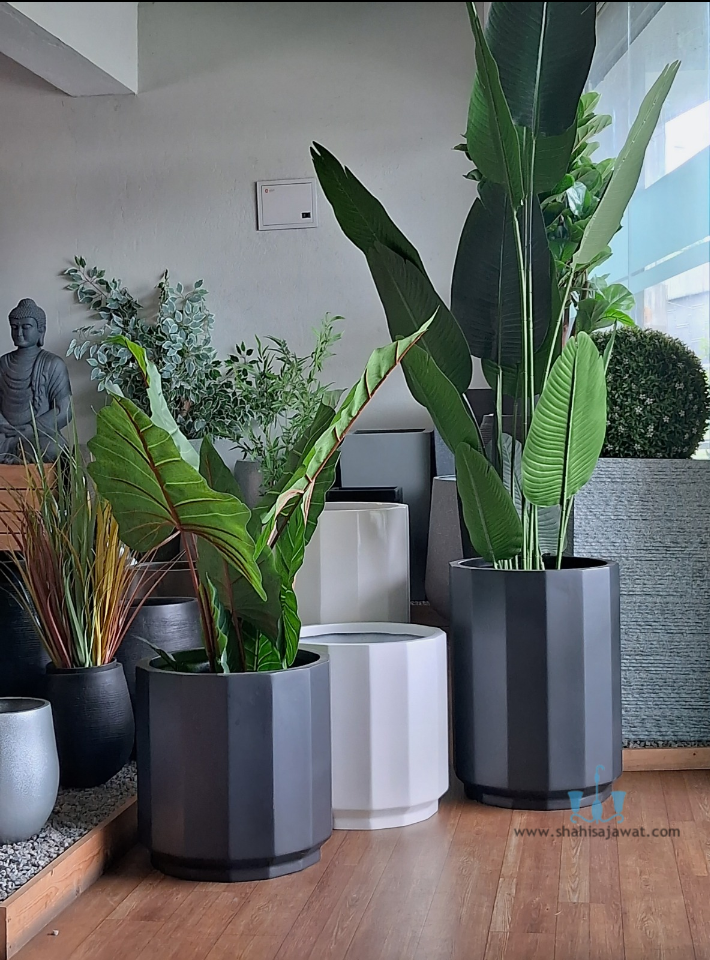 indoor pots for plants india Bewitching White Round FRP Planters