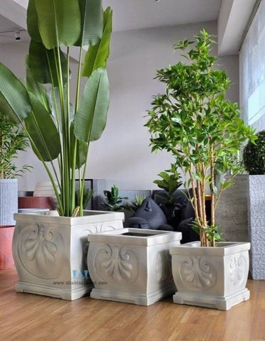 Ornate Square FRP Planters