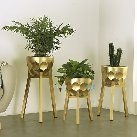 Gold Embossed Nordic Handcrafted Iron (Metal) Floor 3 Piece Indoor Planters, Available exclusively on Shahi Sajawat India, the world of home decor products. Best trendy home decor, office decor, restaurant decor living room, kitchen and bathroom decor ideas of 2022.