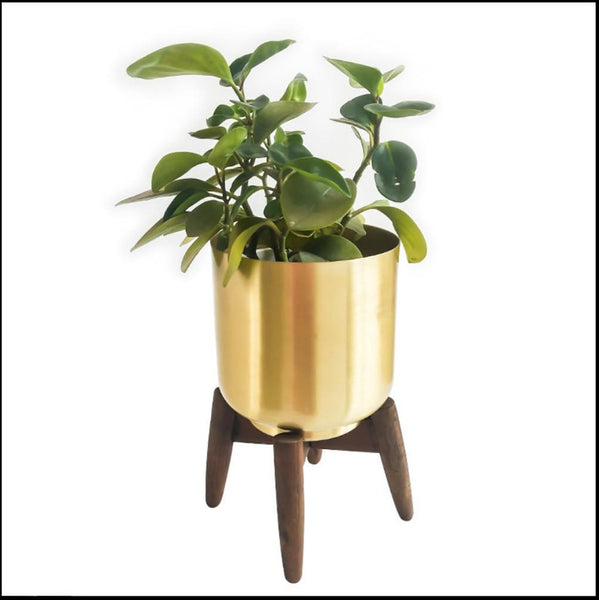 Gold Metal (Iron) Floor/Tabletop Planter With Wooden Stand Of Size 16×16×24cm, available exclusively on Shahi Sajawat India, the world of home decor products.Best trendy home decor, living room, kitchen and bathroom decor ideas of 2021.