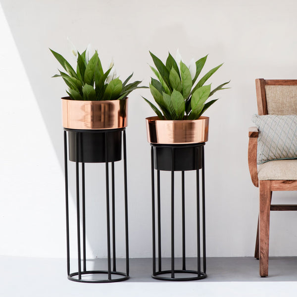 Black Brown And Gold Iron 2 Piece Planter Set, available exclusively on Shahi Sajawat India, the world of home decor products. Best trendy home decor, living room, kitchen and bathroom decor ideas of 2020.