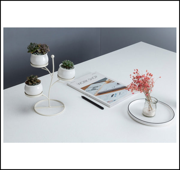 Black/White Ceramic Flower Pots (Planters) With Iron Rack Are Ideal For Succulents Also, With A Drainage Hole At The Bottom, available exclusively on Shahi Sajawat India, the world of home decor products. Best trendy home decor, living room, kitchen and bathroom decor ideas of 2019.