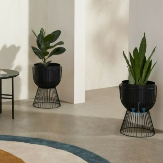 De Rigueur Single Tall And 2 Piece Dwarf Iron Planters With Wiry Stand…  https://www.shahisajawat.com/products/de-rigueur-single-tall-and-2-piece-dwarf-iron-planters-with-wiry-stands  Black/Gold Tall And Dwarf Metal Floor Single Tall And Dwarf 2 Piece Indoor Planters With Wiry Stands, Available exclusively on Shahi Sajawat India, the world of home decor products. Best trendy home decor, living room, kitchen and bathroom decor ideas of 2022.