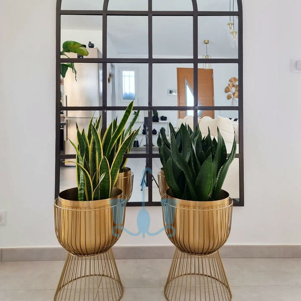 De Rigueur Single Tall And 2 Piece Dwarf Iron Planters With Wiry Stand…  https://www.shahisajawat.com/products/de-rigueur-single-tall-and-2-piece-dwarf-iron-planters-with-wiry-stands  Black/Gold Tall And Dwarf Metal Floor Single Tall And Dwarf 2 Piece Indoor Planters With Wiry Stands, Available exclusively on Shahi Sajawat India, the world of home decor products. Best trendy home decor, living room, kitchen and bathroom decor ideas of 2022.