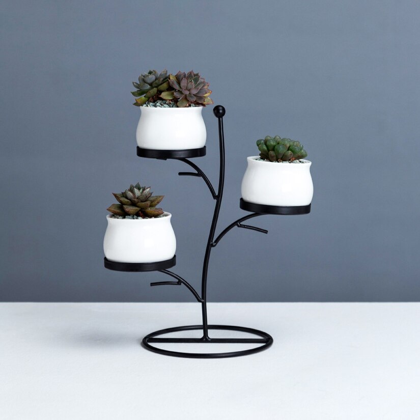 ceramic plant pots india Ingenious Ceramic Flower Pots With Iron Rack