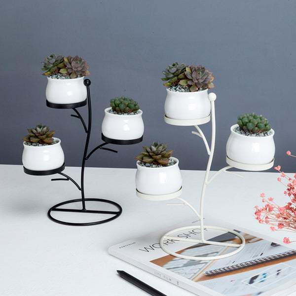 Black/White Ceramic Flower Pots (Planters) With Iron Rack Are Ideal For Succulents Also, With A Drainage Hole At The Bottom, available exclusively on Shahi Sajawat India, the world of home decor products. Best trendy home decor, living room, kitchen and bathroom decor ideas of 2019.