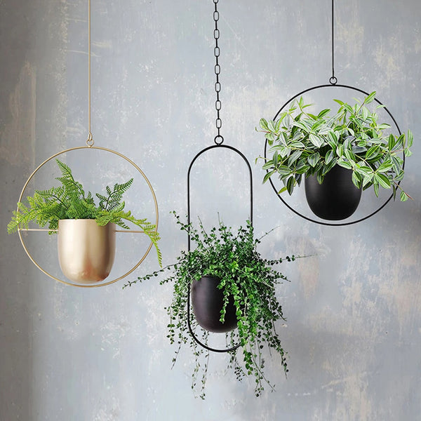 Black/Gold Metal (Iron) Oblong And Round Shaped Hanging Planters, available exclusively on Shahi Sajawat India, the world of home decor products. Best trendy home decor, living room, kitchen and bathroom decor ideas of 2020.