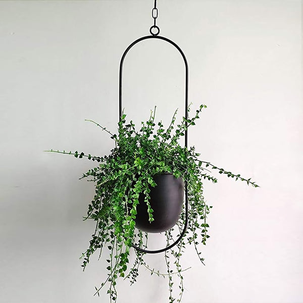 Black/Gold Metal (Iron) Oblong And Round Shaped Hanging Planters, available exclusively on Shahi Sajawat India, the world of home decor products. Best trendy home decor, living room, kitchen and bathroom decor ideas of 2020.