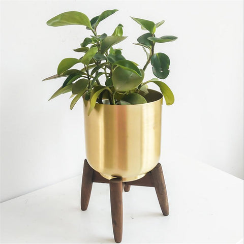 Gold Metal (Iron) Floor/Tabletop Planter With Wooden Stand Of Size 16×16×24cm, available exclusively on Shahi Sajawat India, the world of home decor products.Best trendy home decor, living room, kitchen and bathroom decor ideas of 2021.