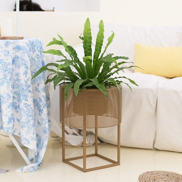 Gold/Greyish Blue 2 Piece Iron Floor Planters, available exclusively on Shahi Sajawat India, the world of home decor products.Best trendy home decor, living room, kitchen and bathroom decor ideas of 2021.